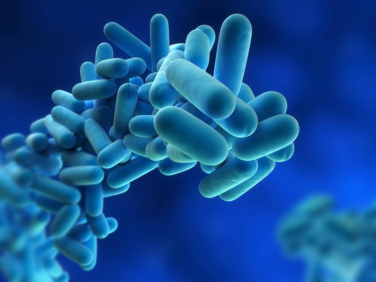 Turning Up the Heat on Legionella: Safe Water Heater Practices