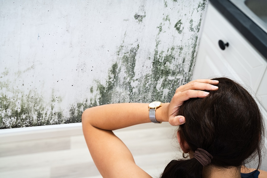 Mister Water Heater Indianapolis Mold Remediation